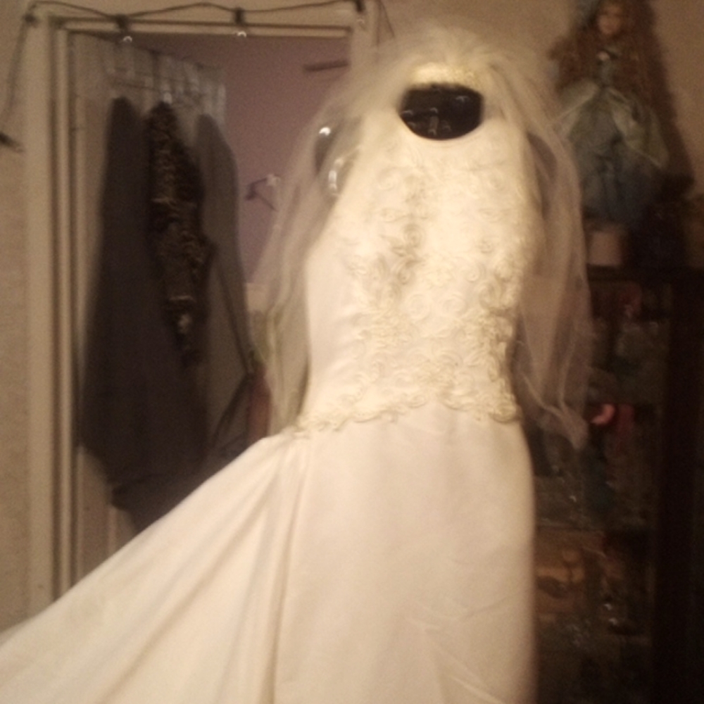 Demetrius brand contemporary beaded detachable train wedding dress size 12